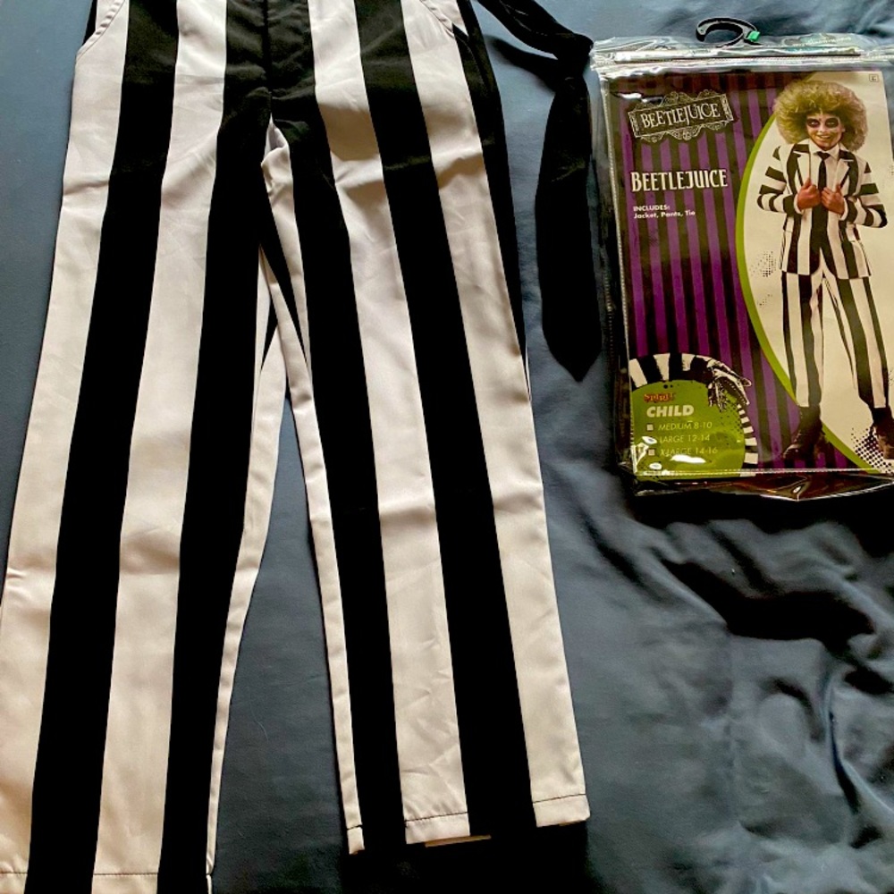 Beetlejuice costume pants—PANTS ONLY